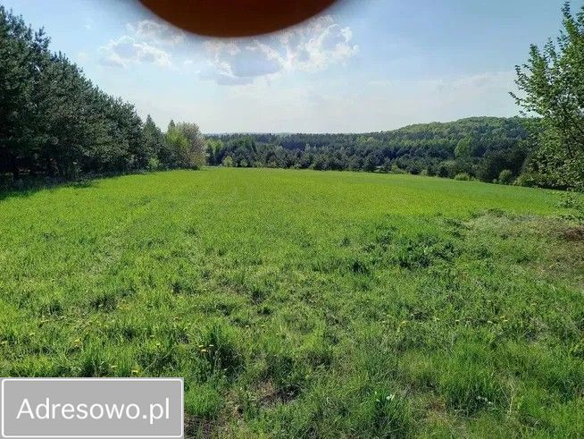 Działka budowlana Suliszowice. Zdjęcie 5