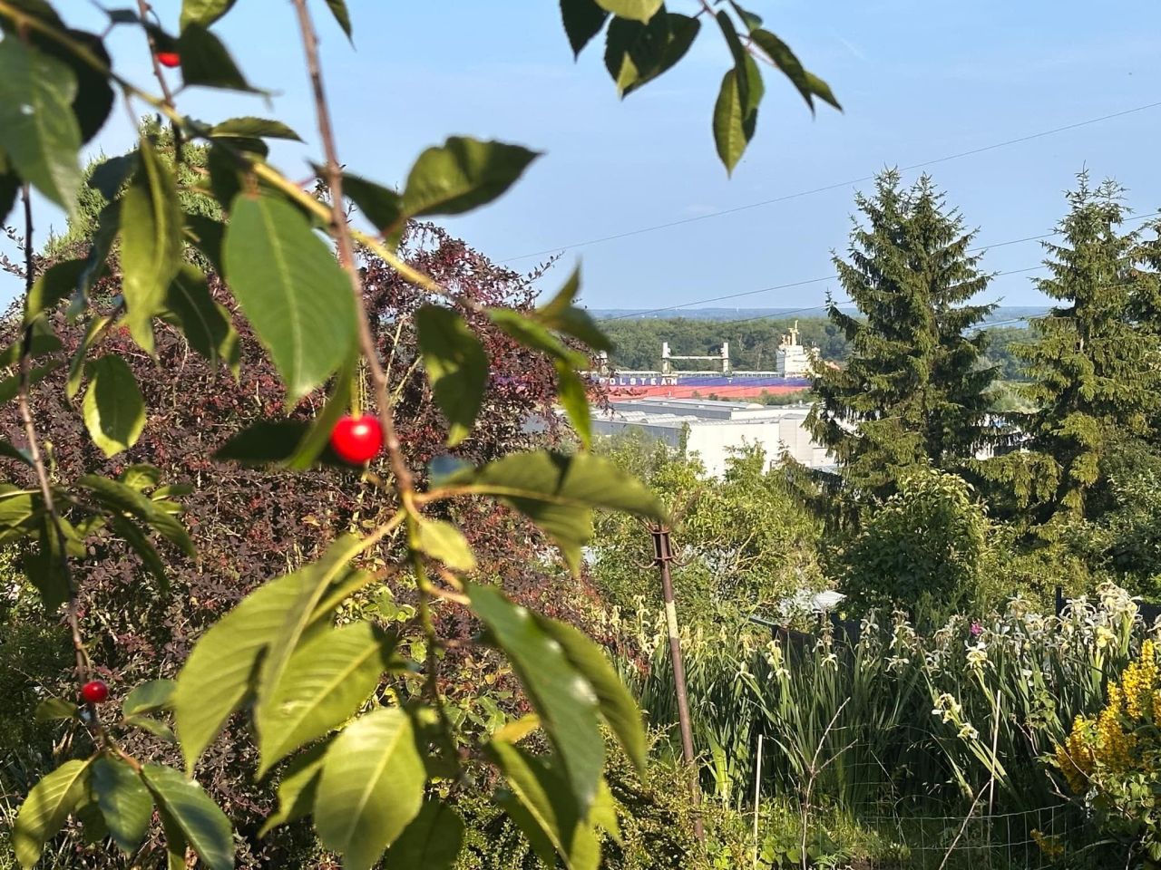 Działka rod Szczecin Bukowo, ul. Orna. Zdjęcie 5