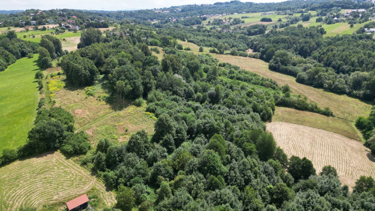 Lokal Gaj Brzyczyna, ul. Spadzista. Zdjęcie 5