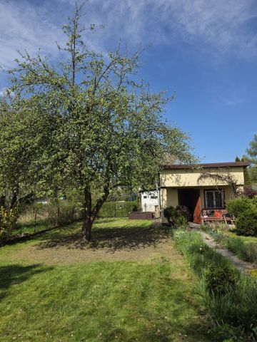 Działka rod Sosnowiec Klimontów. Zdjęcie 1