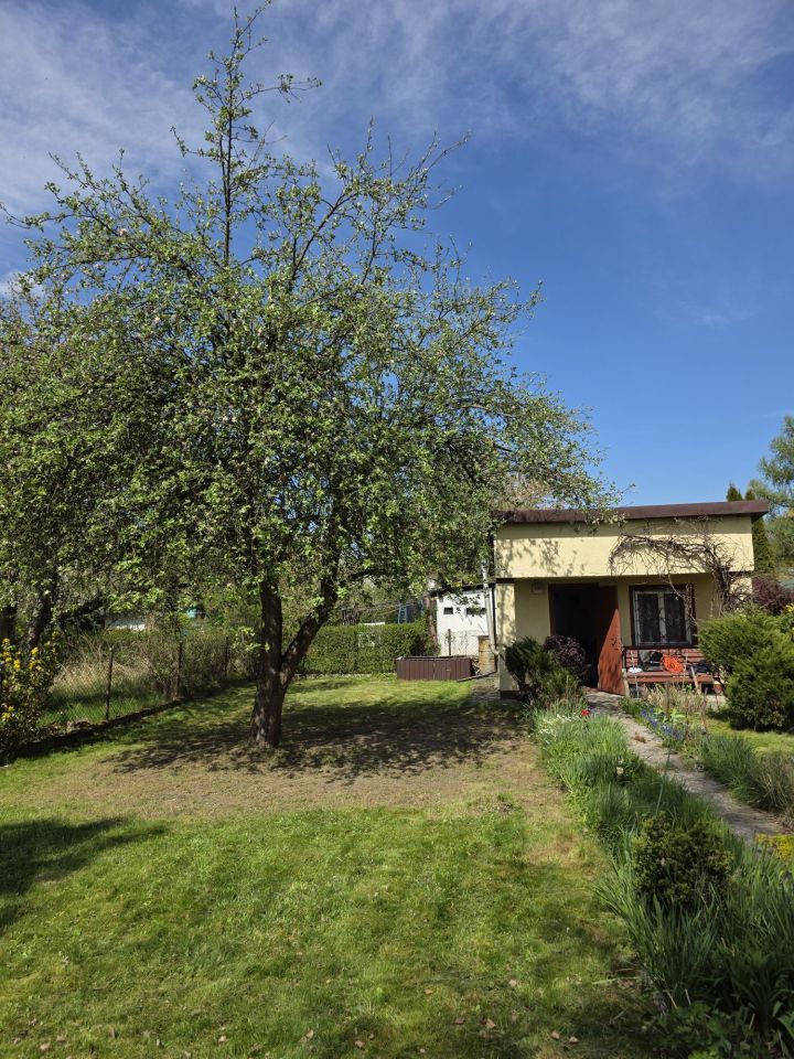 Działka rod Sosnowiec Klimontów. Zdjęcie 1