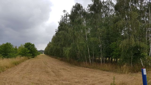 Działka budowlana Piotrków Trybunalski Raków, ul. Rakowska. Zdjęcie 1