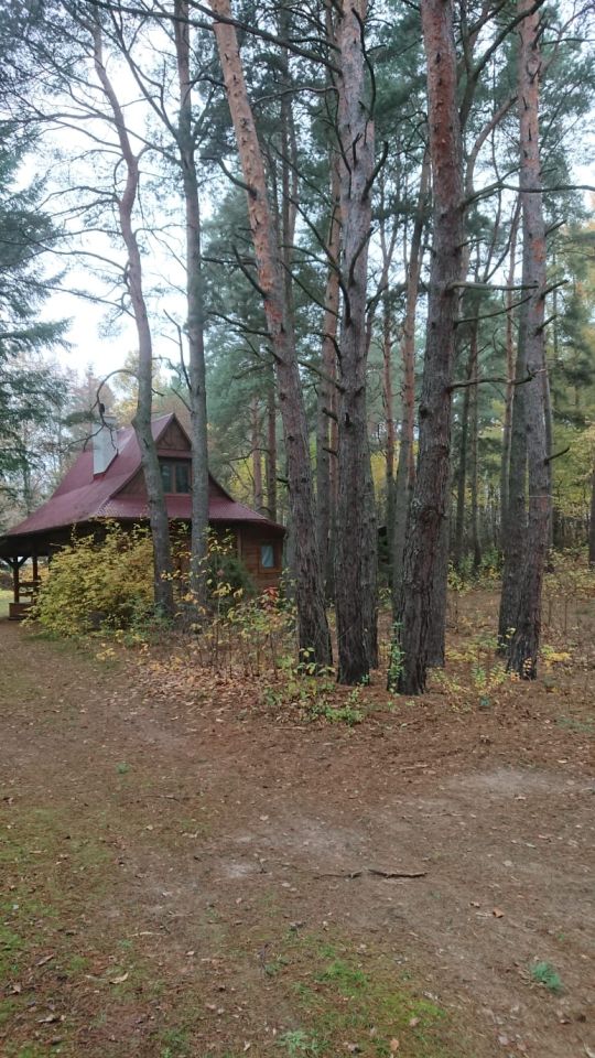 Działka budowlana Gąsiorowo, ul. Jodłowa. Zdjęcie 5