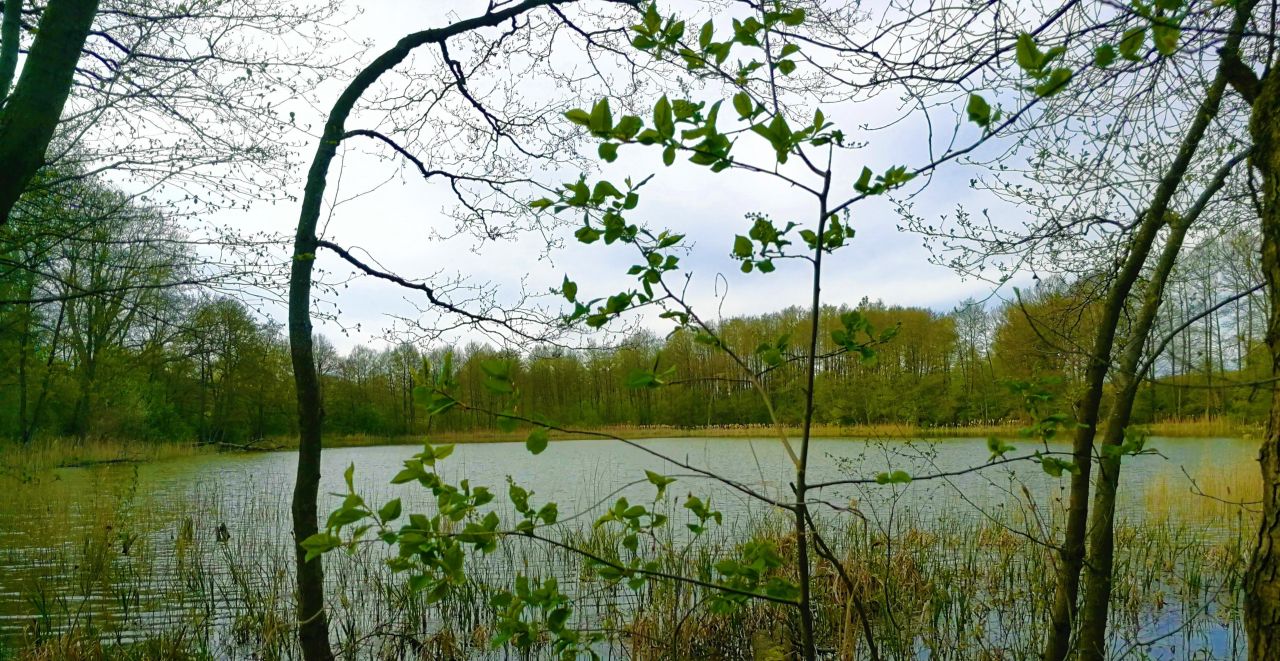 Działka budowlana Warchlino. Zdjęcie 3