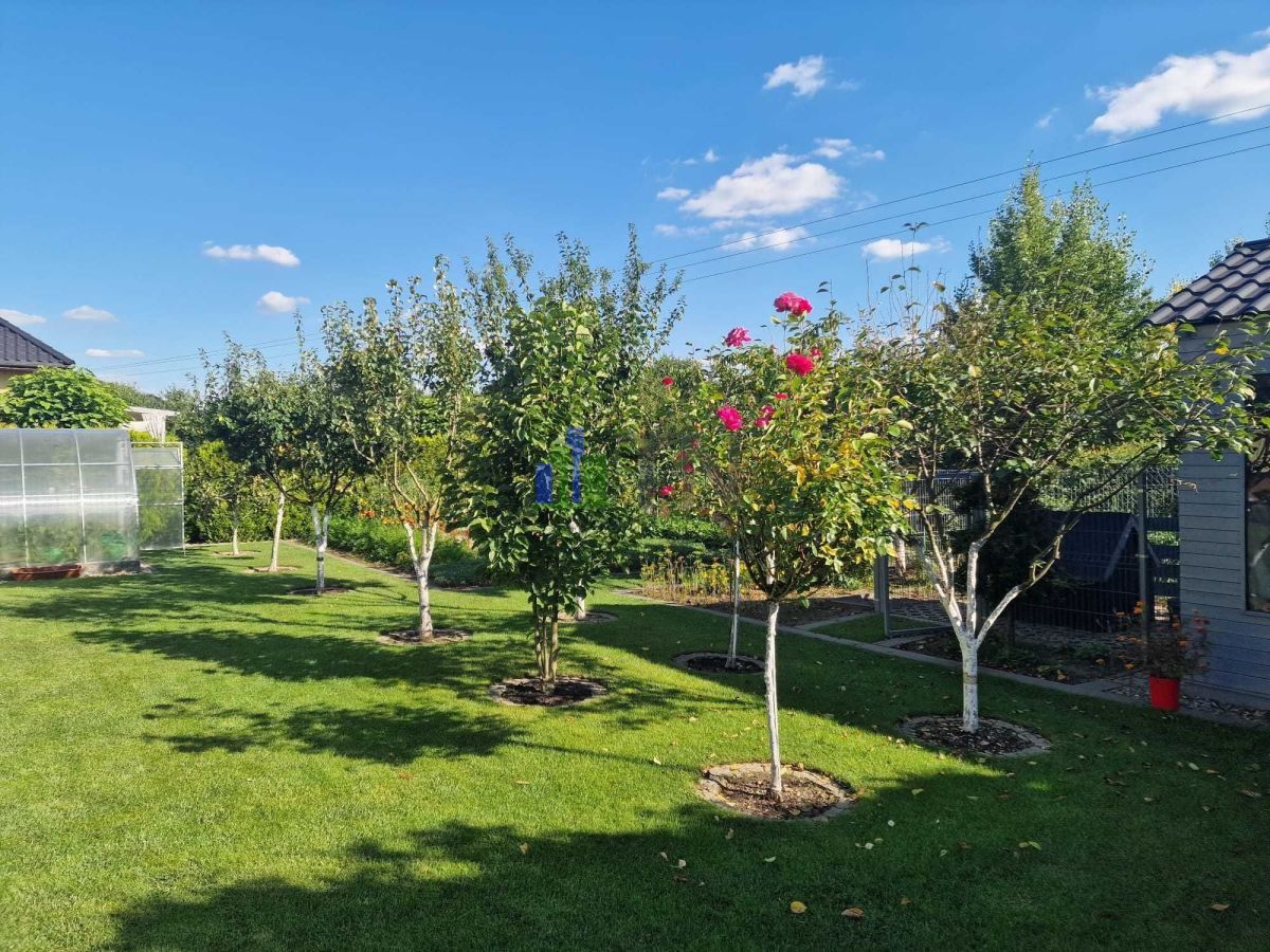 dom wolnostojący, 4 pokoje Czernica. Zdjęcie 4