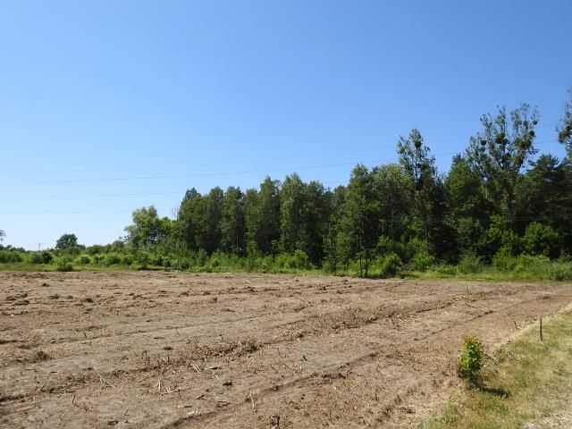 Działka budowlana Dobieszowice, ul. Niebyła. Zdjęcie 2