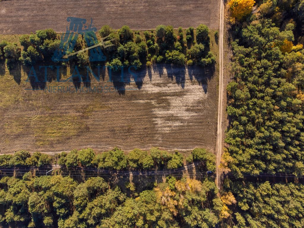 Działka budowlana Januszkowo. Zdjęcie 5