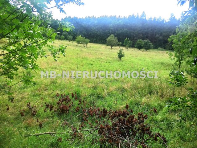 Działka rolna Ramsowo. Zdjęcie 4