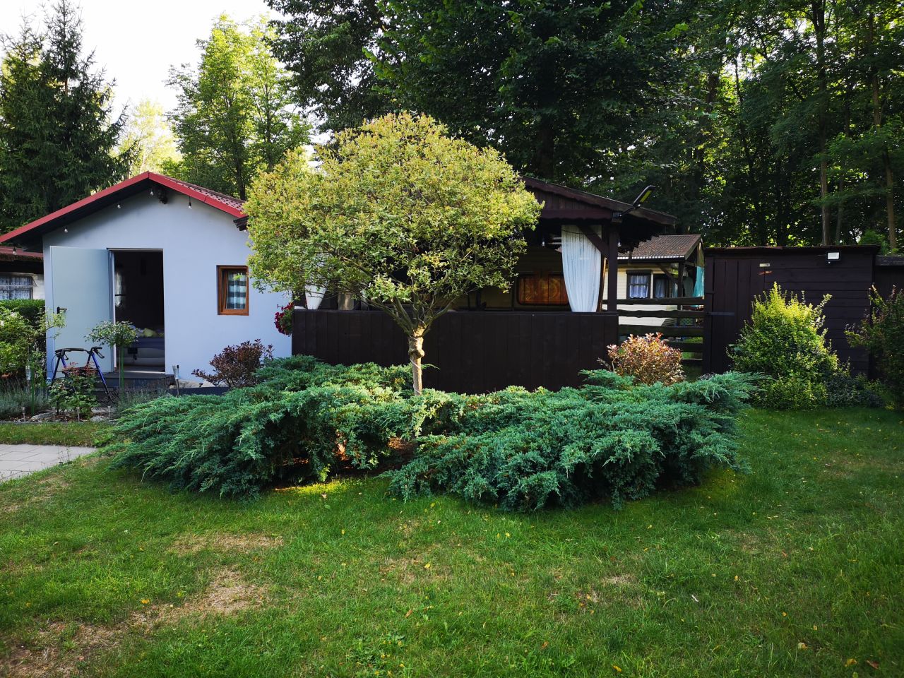 Działka rekreacyjna Przeczyce, ul. 21 Stycznia. Zdjęcie 3