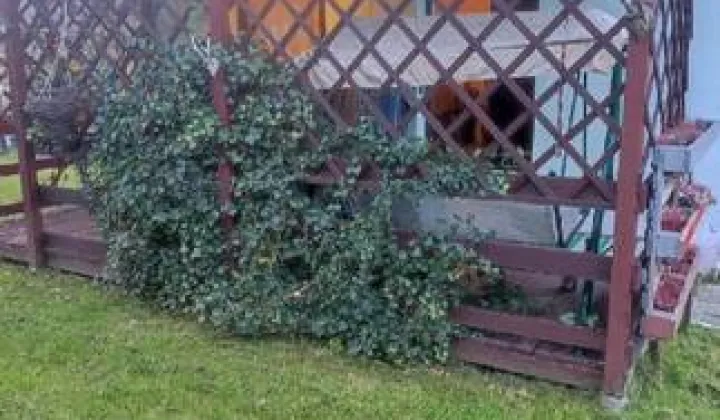 Działka rod Wodzisław Śląski, ul. Bogumińska