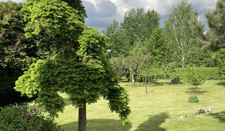 Działka budowlana Michałów-Grabina, ul. Wierzbowa