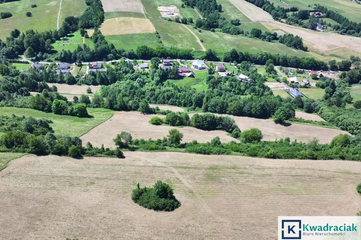Działka rolna Stężnica. Zdjęcie 4