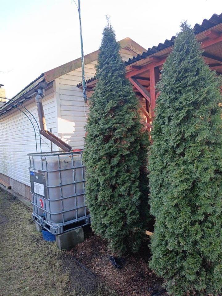 Działka rod Żurczyn. Zdjęcie 7