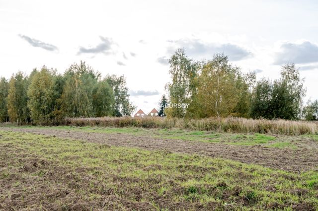 Działka budowlana Cholerzyn. Zdjęcie 6