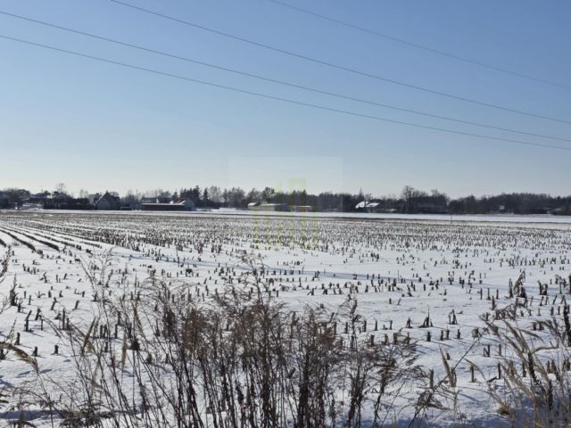 Działka inwestycyjna Błonie, ul. Sochaczewska. Zdjęcie 2