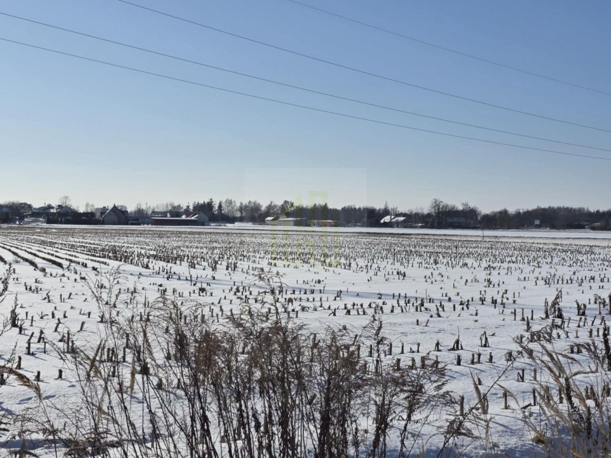 Działka inwestycyjna Błonie, ul. Sochaczewska. Zdjęcie 2