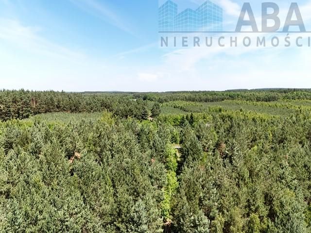 siedlisko, 3 pokoje Janowice Zdrojki. Zdjęcie 25
