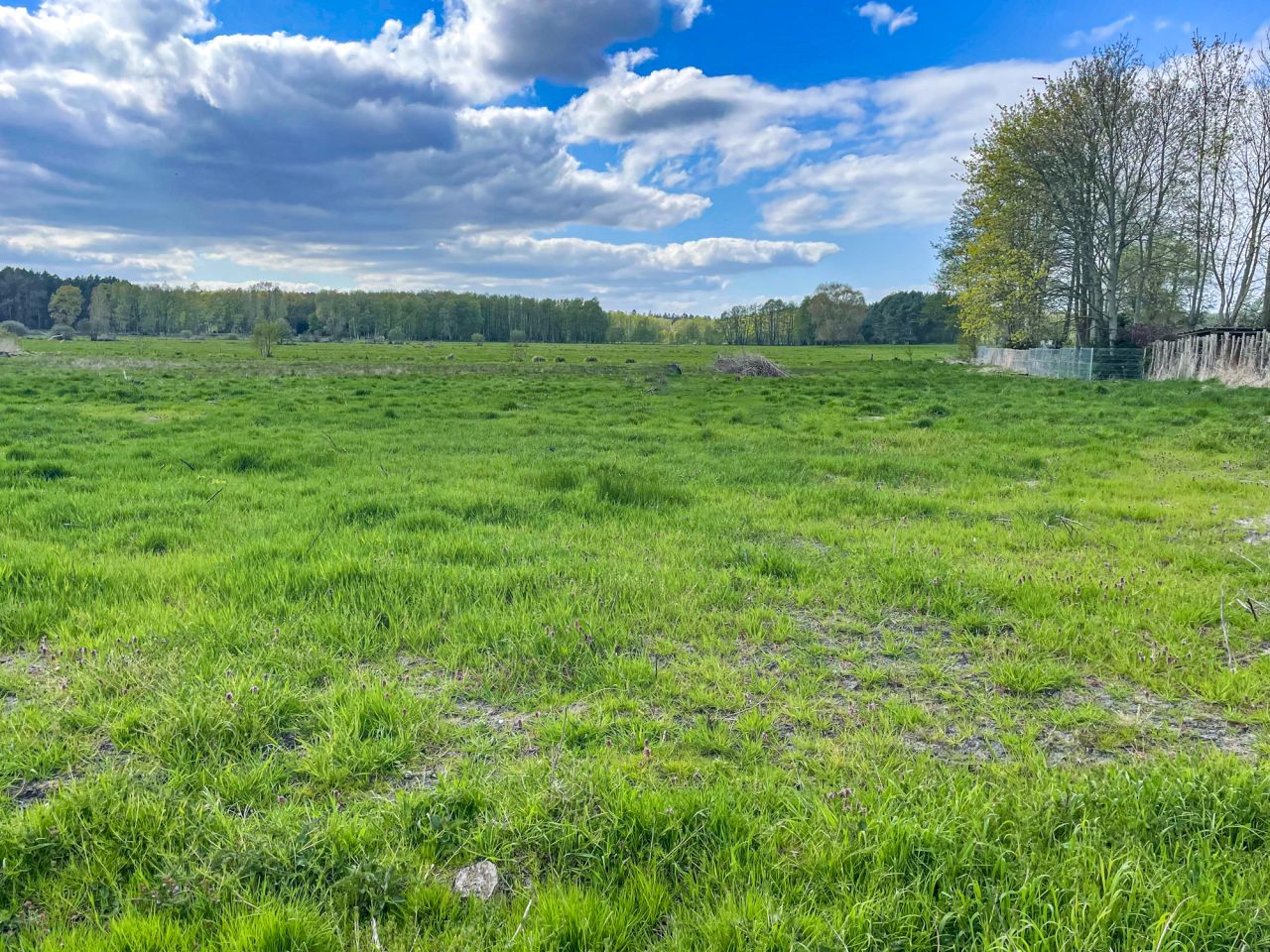 Działka rolno-budowlana Warnołęka. Zdjęcie 20