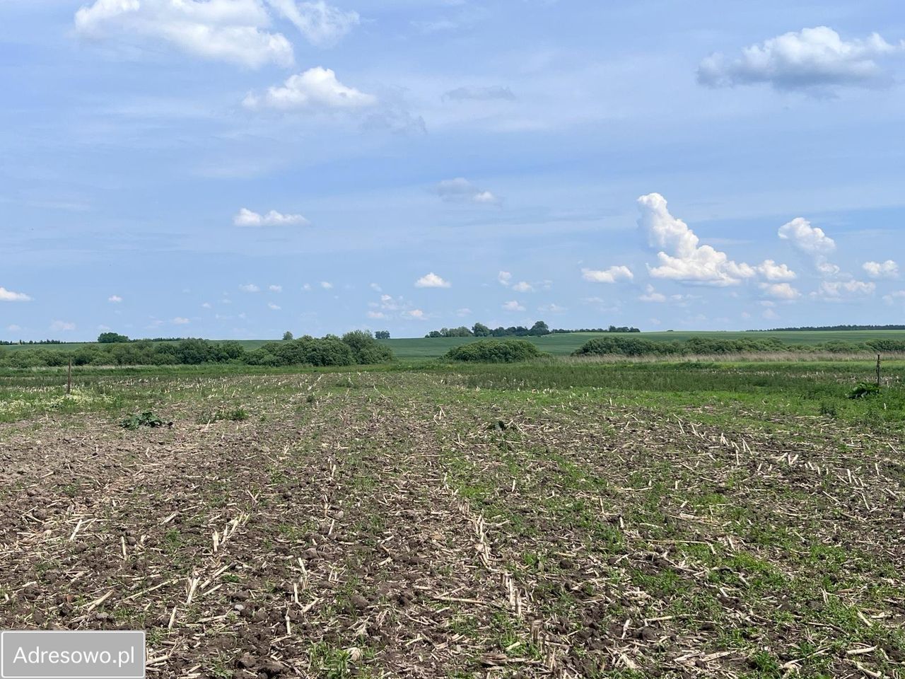 Działka rolna Strzelce Krajeńskie, ul. Grodziska. Zdjęcie 9