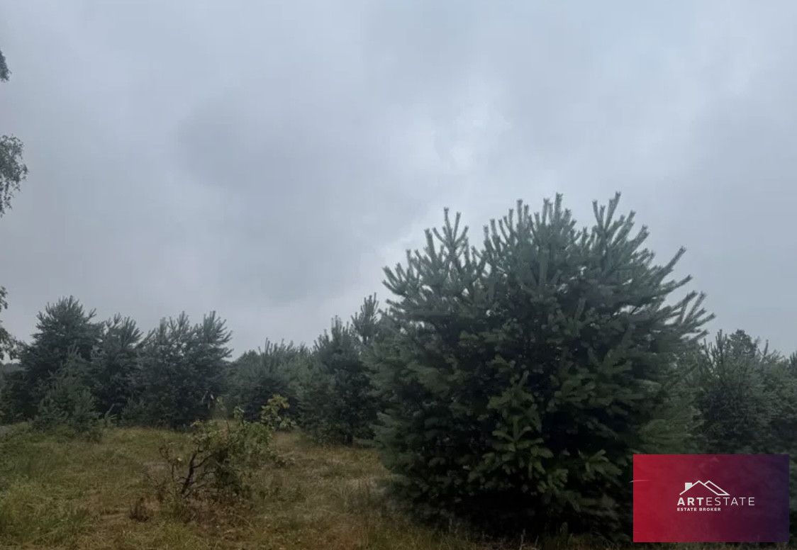 Działka rekreacyjna Nowy Adamów. Zdjęcie 2