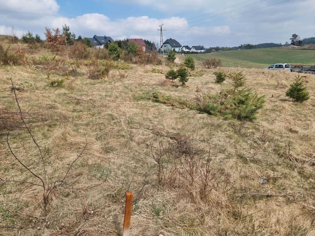 Działka budowlana Borucino. Zdjęcie 8