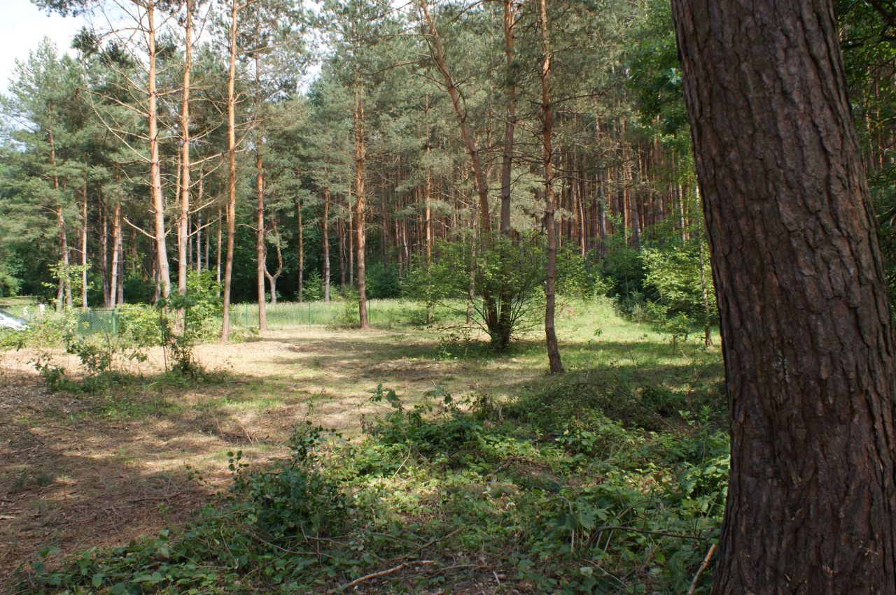 Działka rekreacyjna Czerwona Wola Myszkówka. Zdjęcie 31