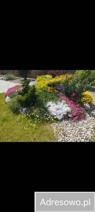 Działka rod Kuków. Zdjęcie 2