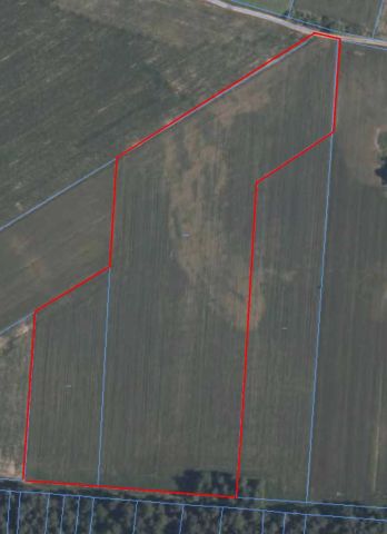 Działka rolna Niewiadoma. Zdjęcie 1