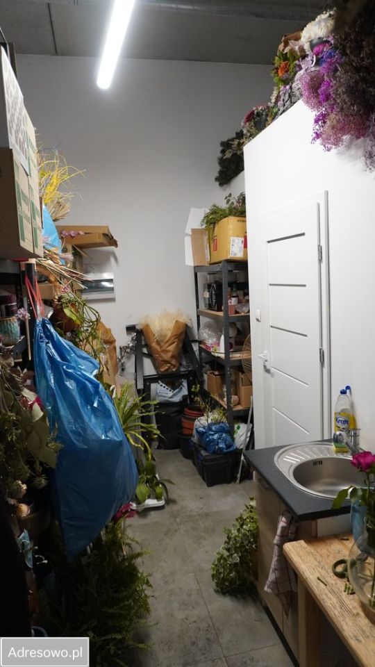 Lokal Toruń Koniuchy, ul. Żwirki i Wigury. Zdjęcie 8