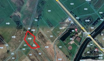 Działka rolna Zofiowo Czarnków Zanotecki, -