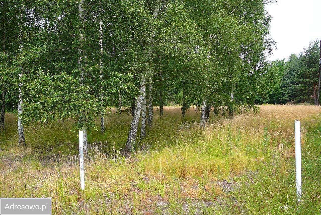 Działka budowlana Kaleń, ul. Mszczonowska. Zdjęcie 7
