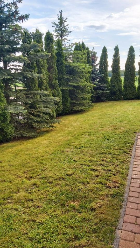 dom wolnostojący Lusowo. Zdjęcie 6