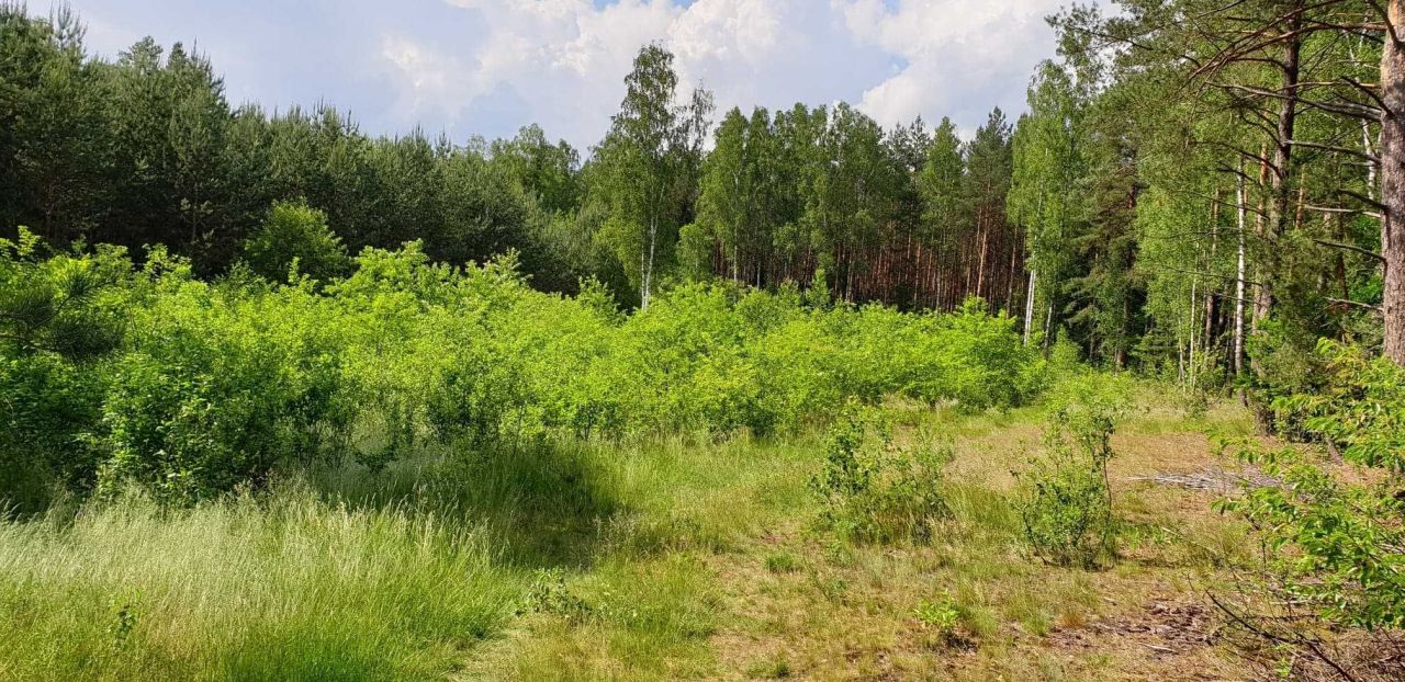 Działka rolna Kokoszki