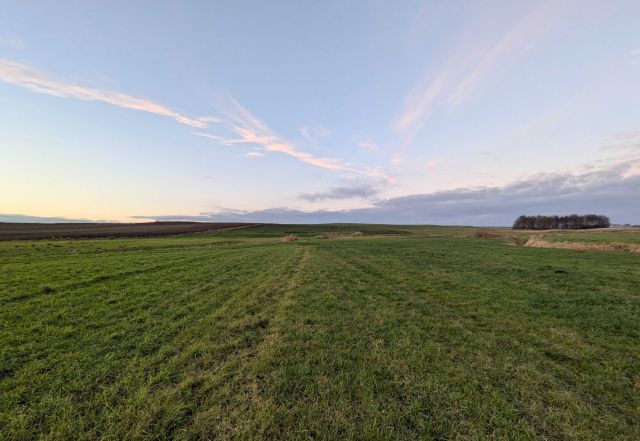 Działka rolna Lubawa. Zdjęcie 1