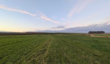 Działka rolna Lubawa