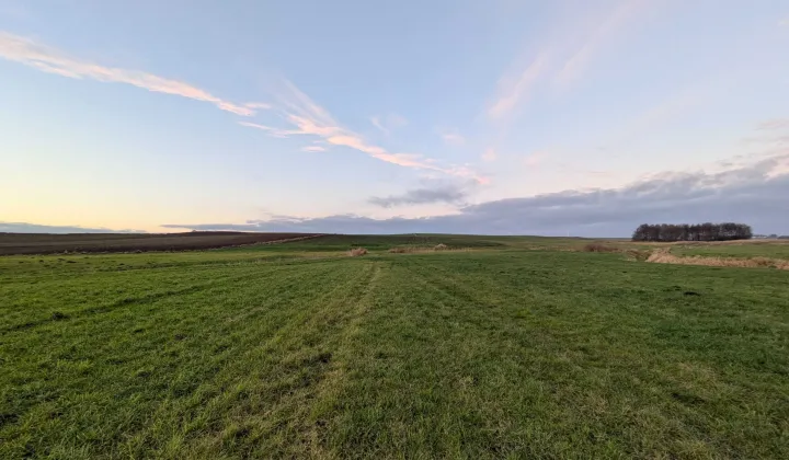 Działka rolna Lubawa