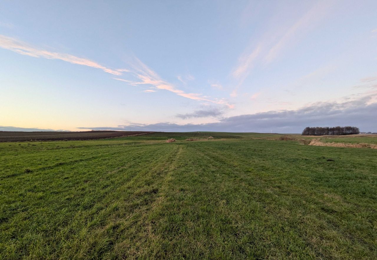 Działka rolna Lubawa