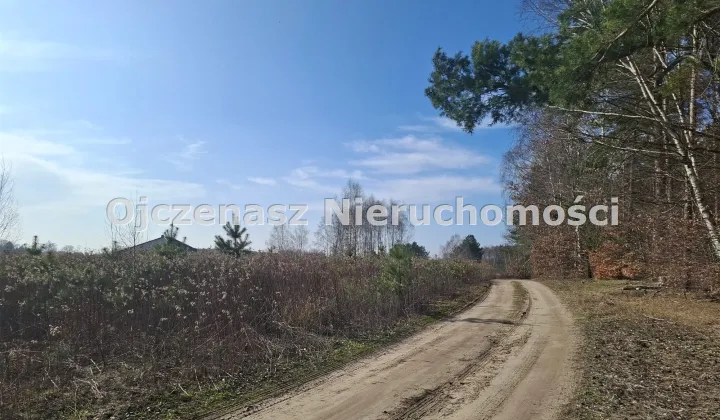 Działka Nowe Dąbie