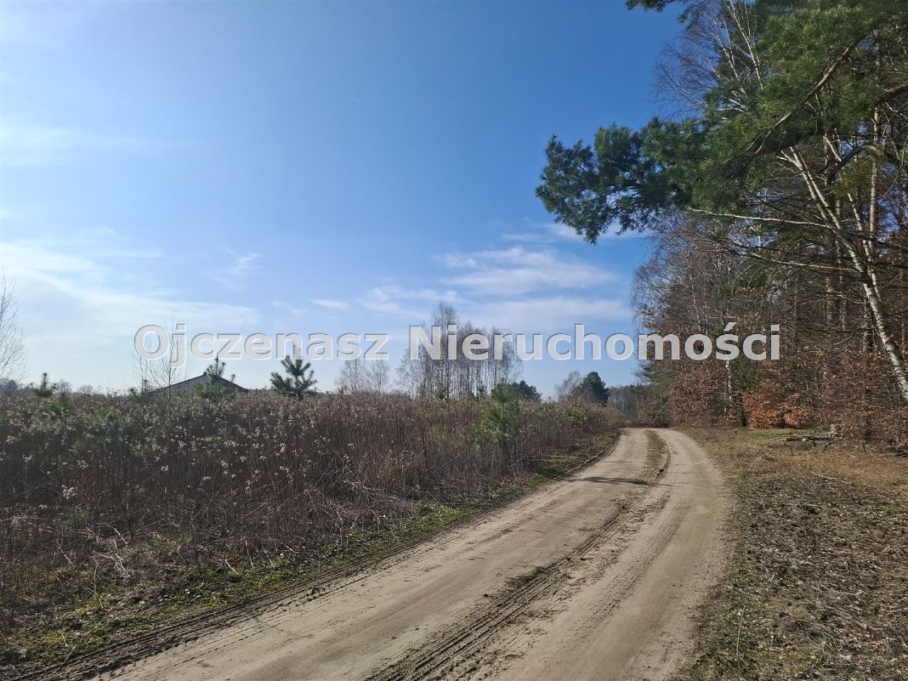 Działka Nowe Dąbie. Zdjęcie 1