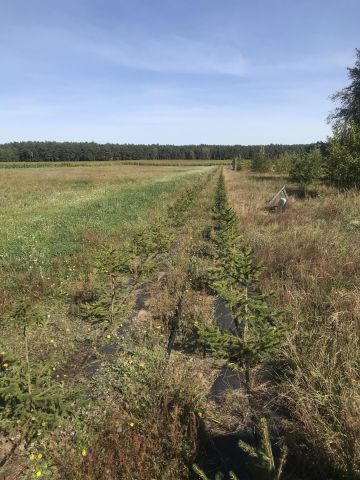 Działka budowlana Pietronki. Zdjęcie 1