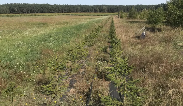 Działka budowlana Pietronki