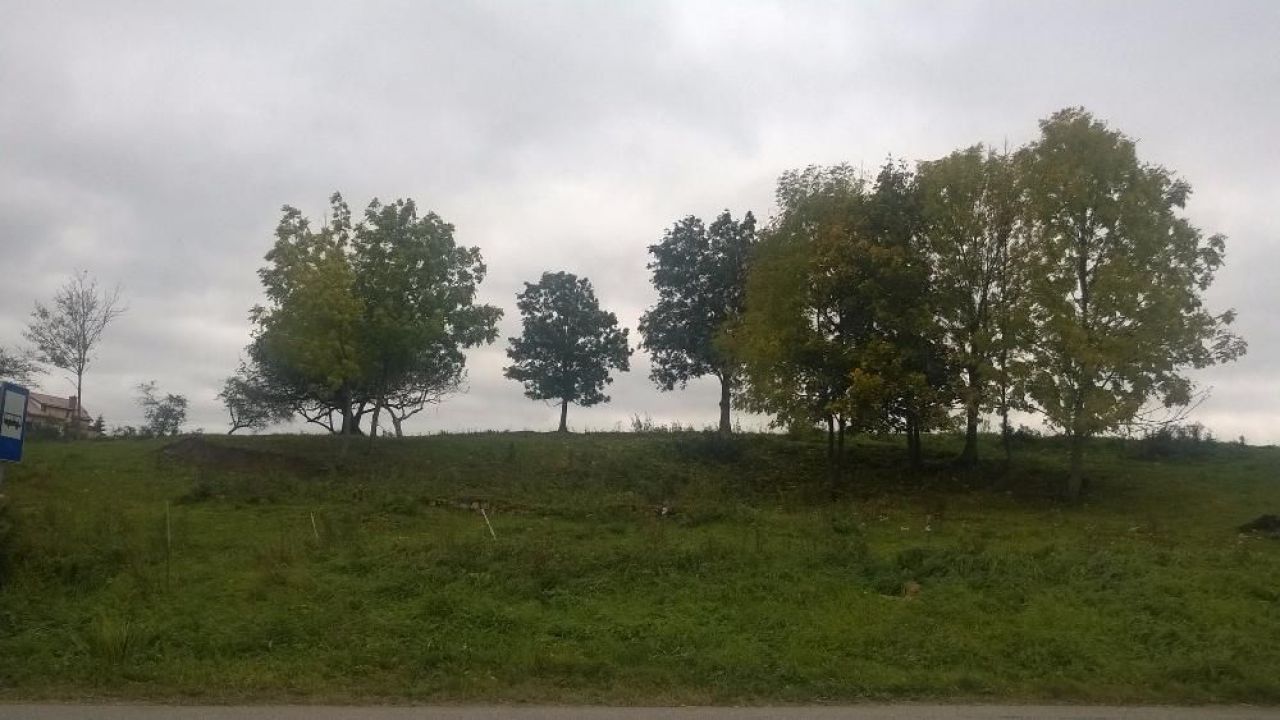 Działka siedliskowa Minty. Zdjęcie 3