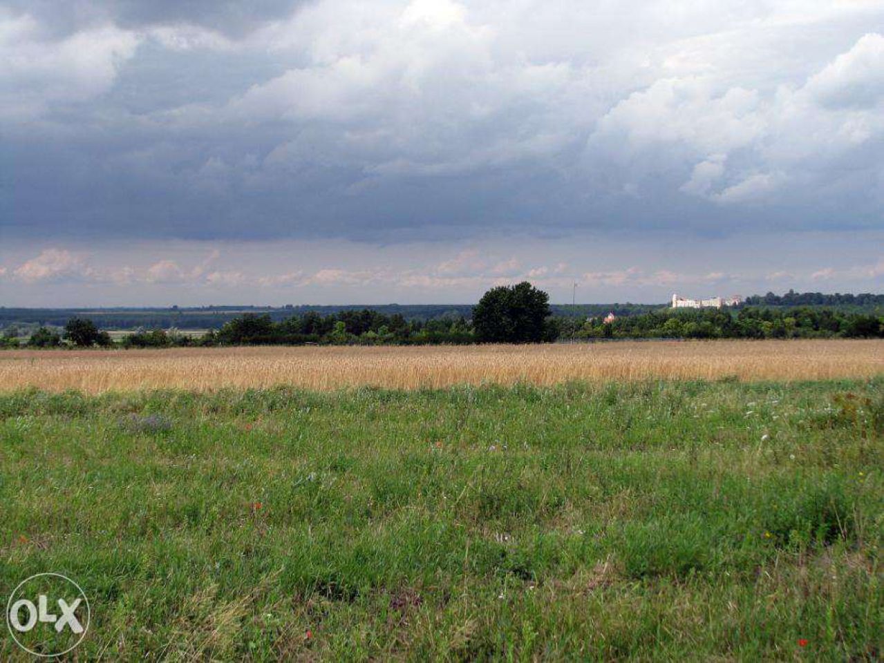 Działka budowlana Kazimierz Dolny. Zdjęcie 7