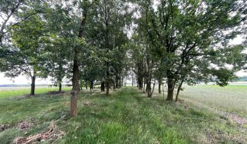 Działka leśna Deszno