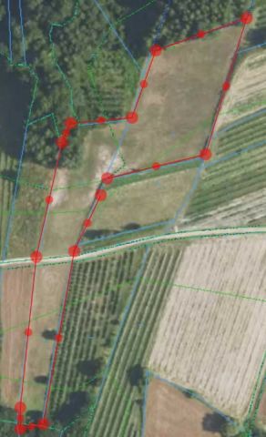 Działka rolna Komodzianka, Komodzianka. Zdjęcie 1