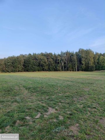 Działka budowlana Komorniki. Zdjęcie 1