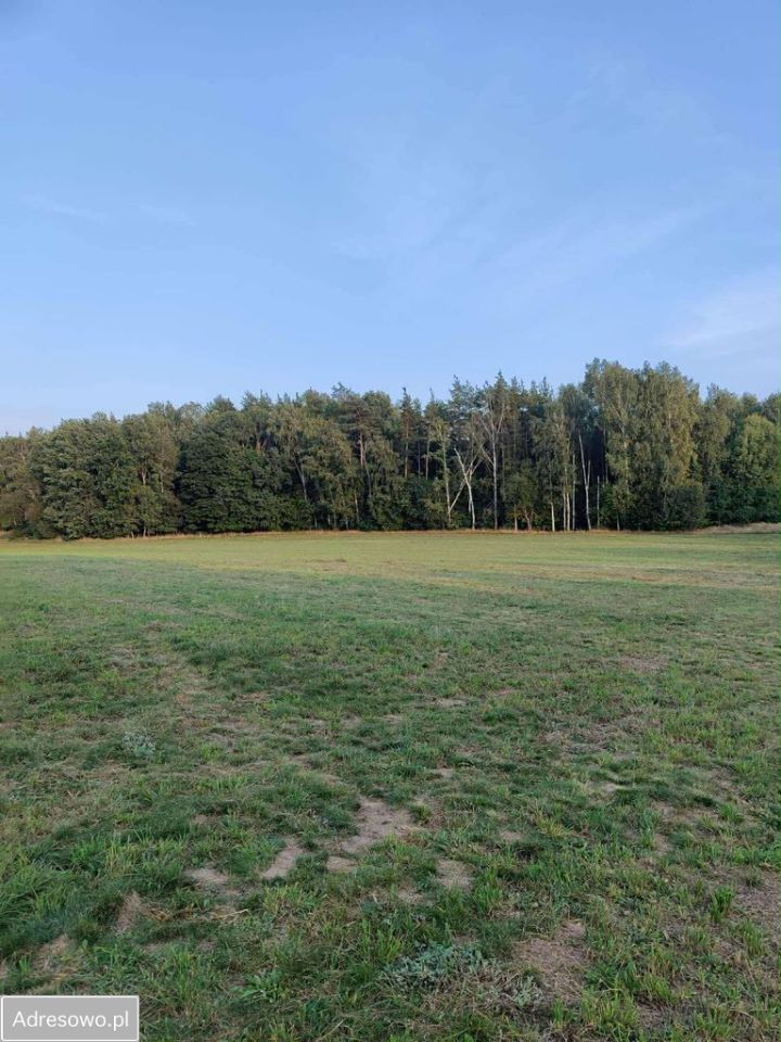 Działka budowlana Komorniki. Zdjęcie 1