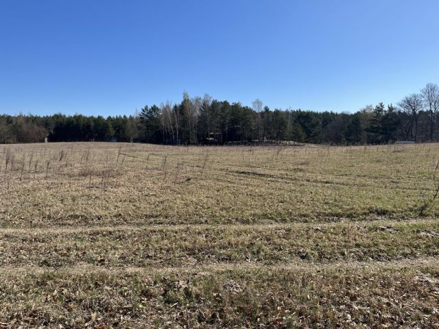 Działka rolna Zabrody. Zdjęcie 1