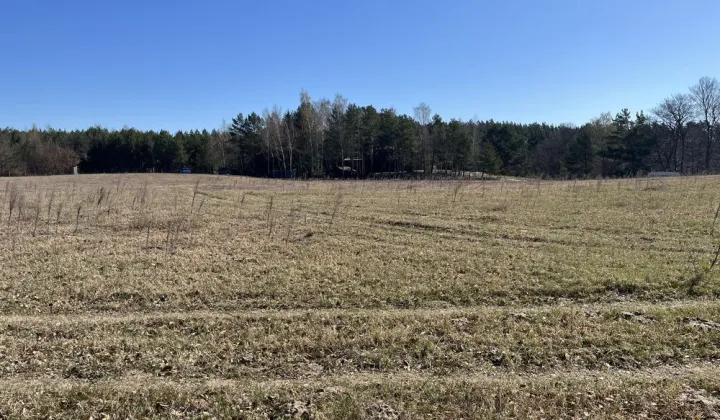 Działka rolna Zabrody