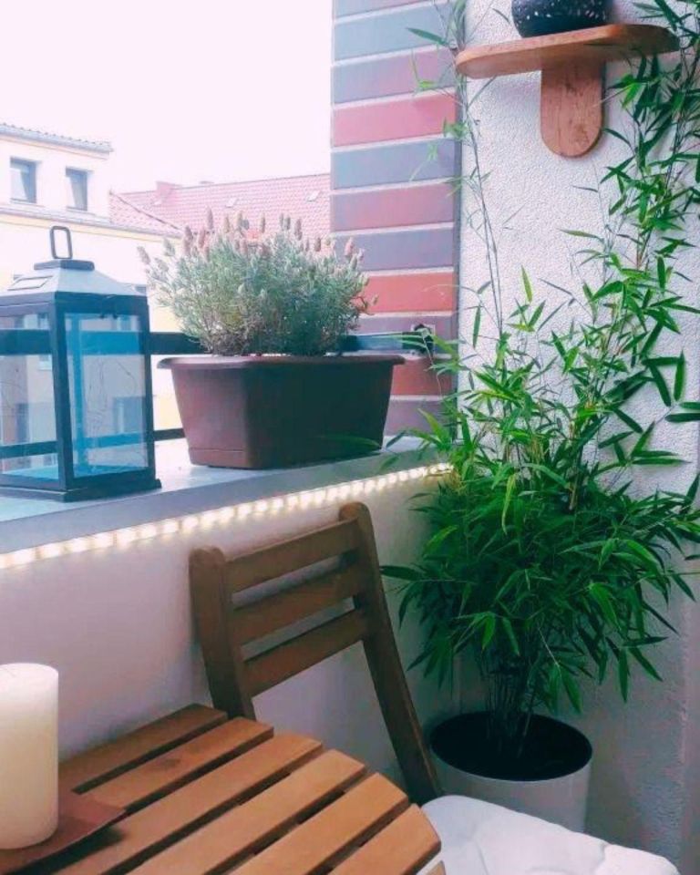 Mieszkanie 3-pokojowe Szczecin Niebuszewo, ul. Mikołaja Reja. Zdjęcie 13